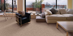 Flooring Carpet