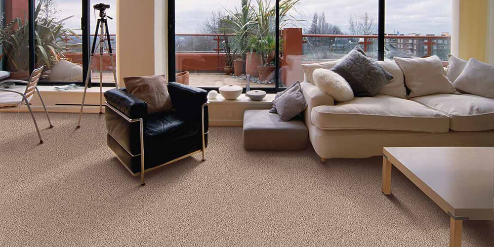 Carpet In Portland Oregon, Tile Portland Oregon Area Code